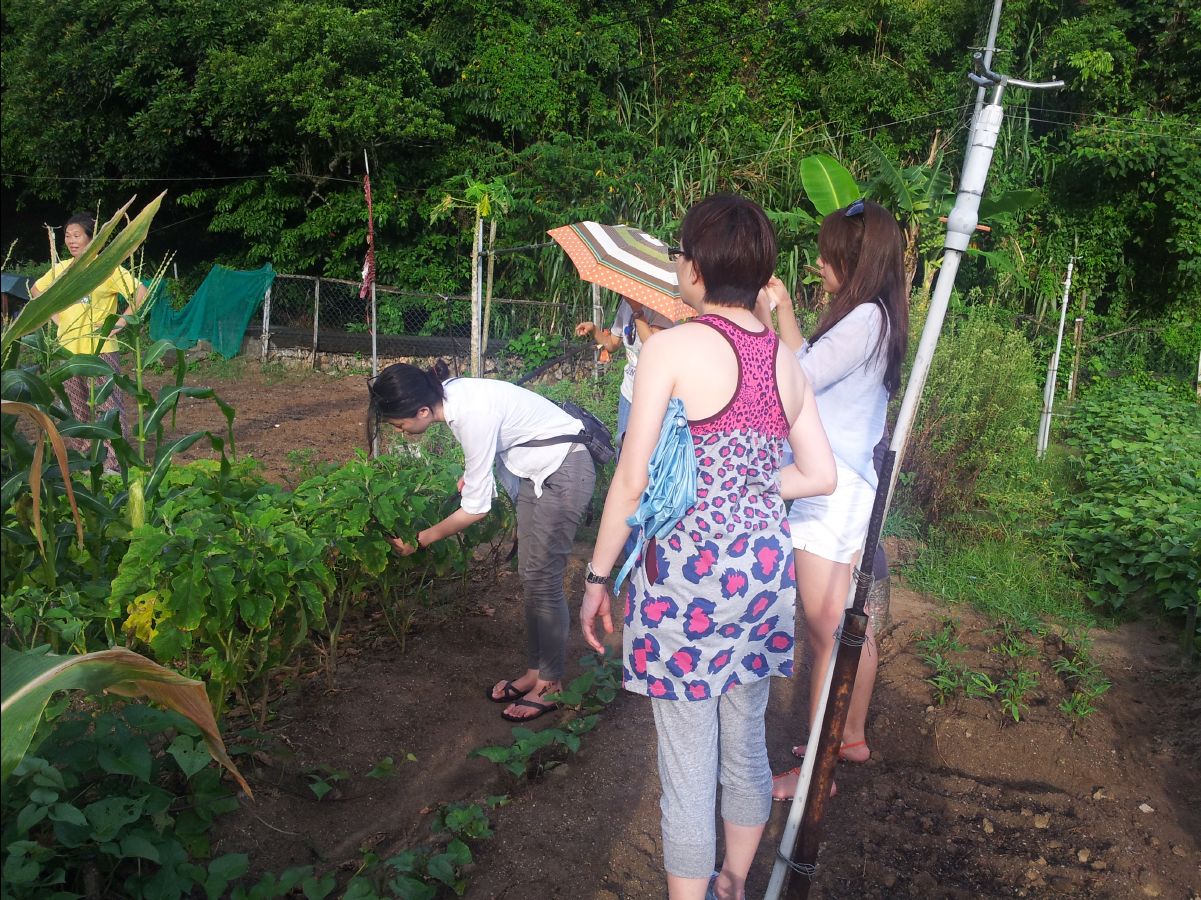 20100715Organic Farm15